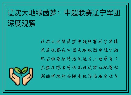 辽沈大地绿茵梦：中超联赛辽宁军团深度观察