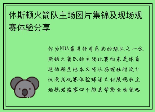休斯顿火箭队主场图片集锦及现场观赛体验分享