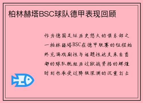 柏林赫塔BSC球队德甲表现回顾